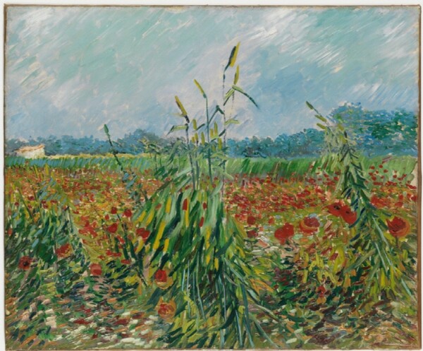 반 고흐의 ‘밀밭의 양귀비’. [이엔에이파트너스]